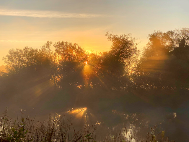 Herbstsonne hinter Bäumen